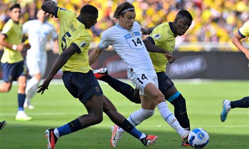 Next Bet Tips: Winning Strategies Revealed
